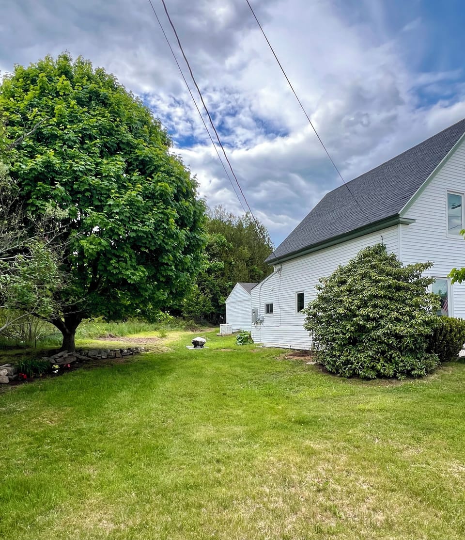 Side/Backyard