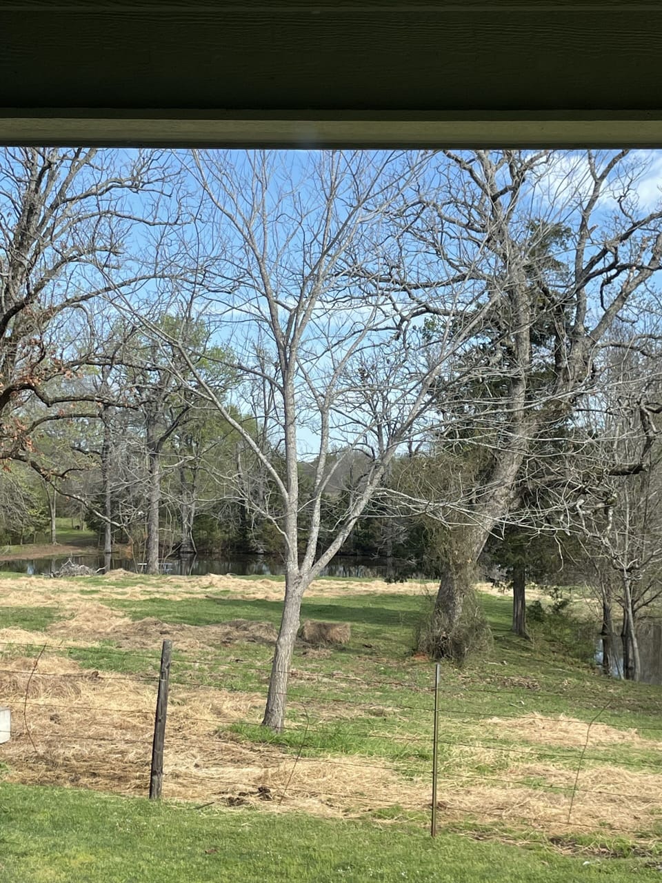 Pond View