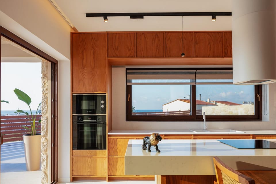 Fully equipped kitchen with all the modern appliances