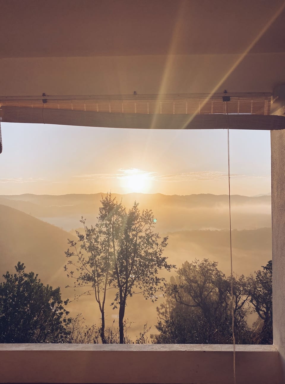 View from property