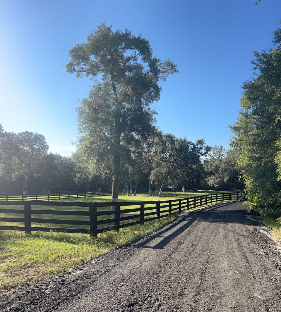 Sunrise over the pasture