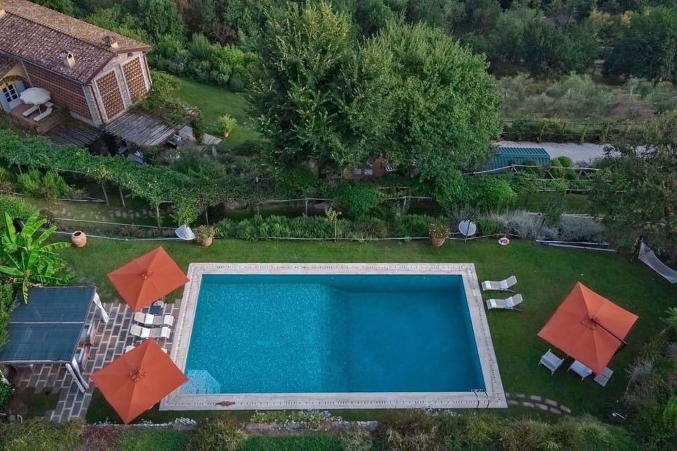 Water, Plant, Property, Building, Nature, Swimming Pool, Tree, Land Lot, Grass, Leisure