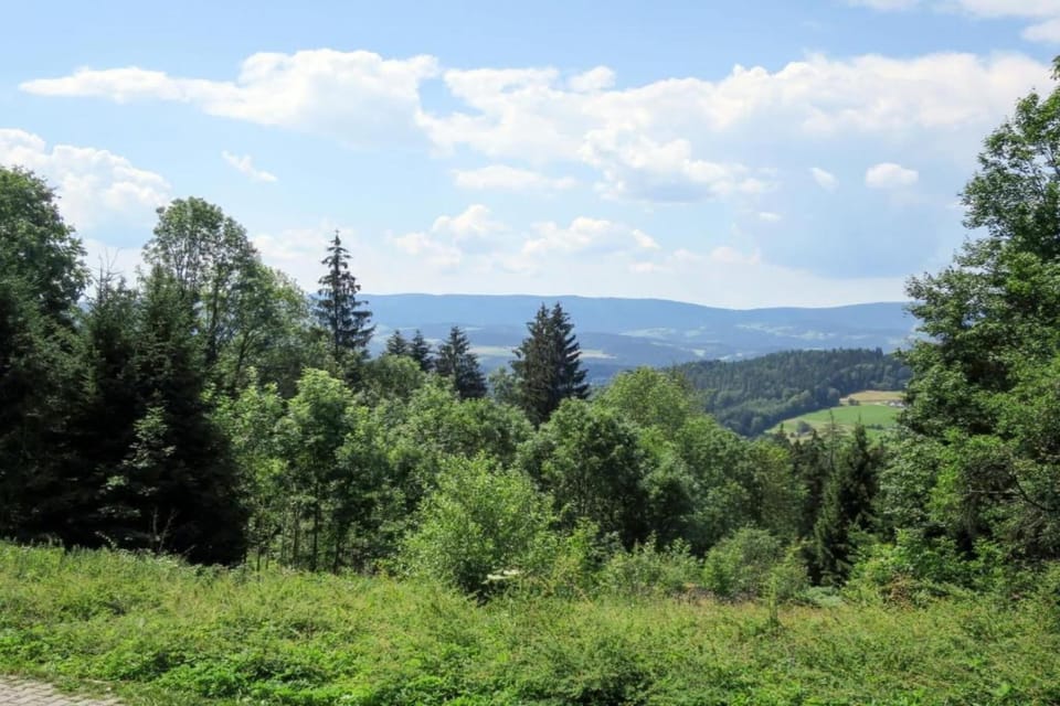 Region [summer] (>5 km)