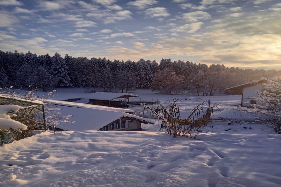 View from Holiday Home [winter]