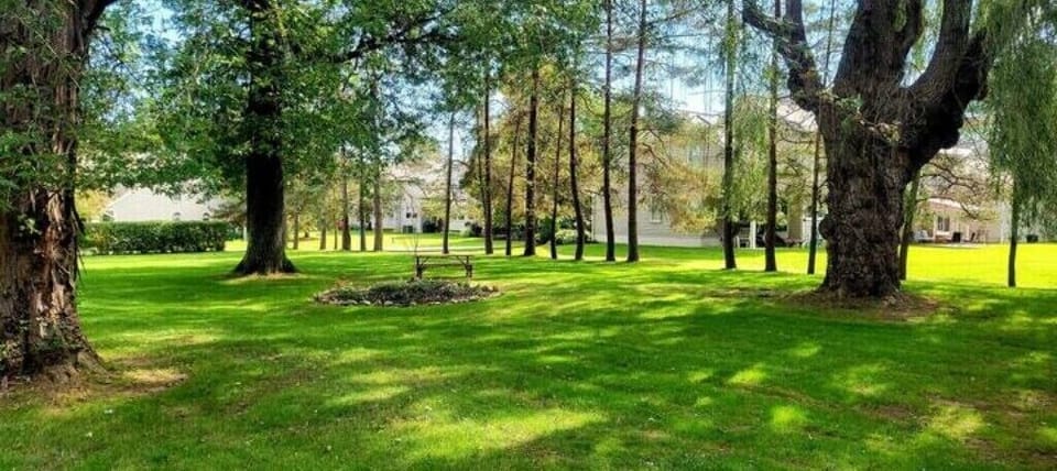 Beautiful picnic area with picnic table.