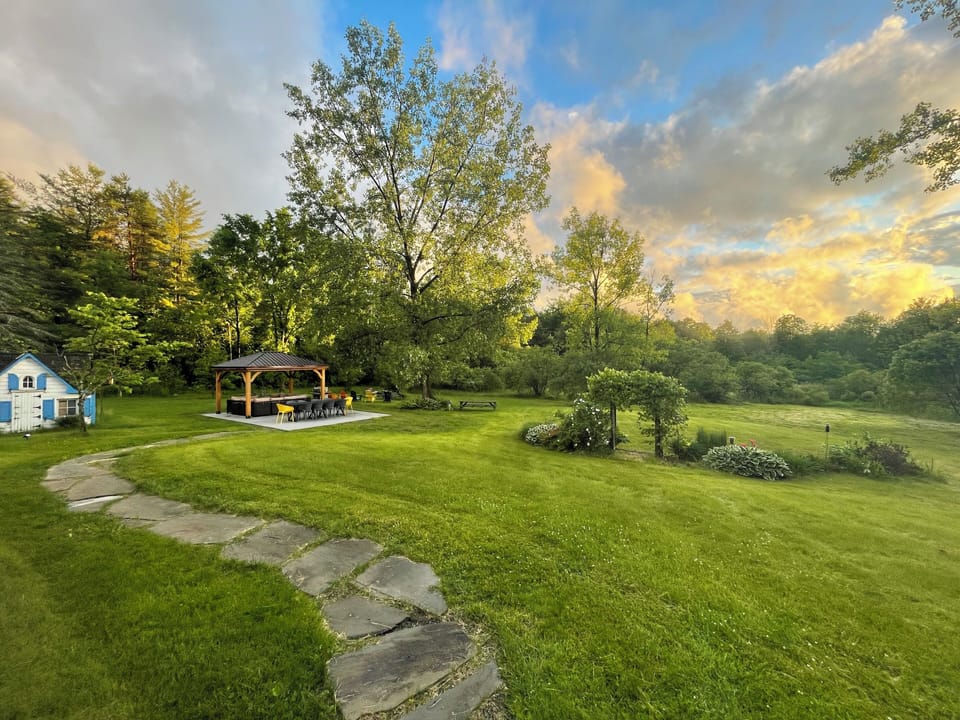 Backyard