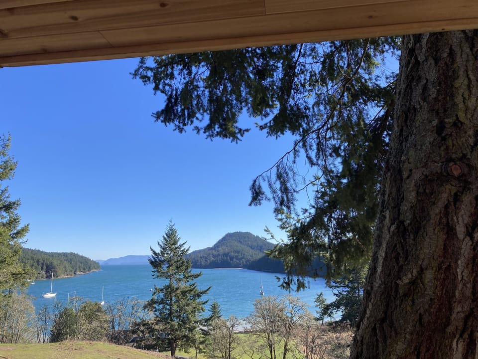 View from property