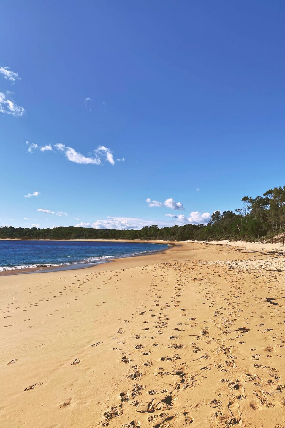 Jibbon Beach is around a 10-minute walk away