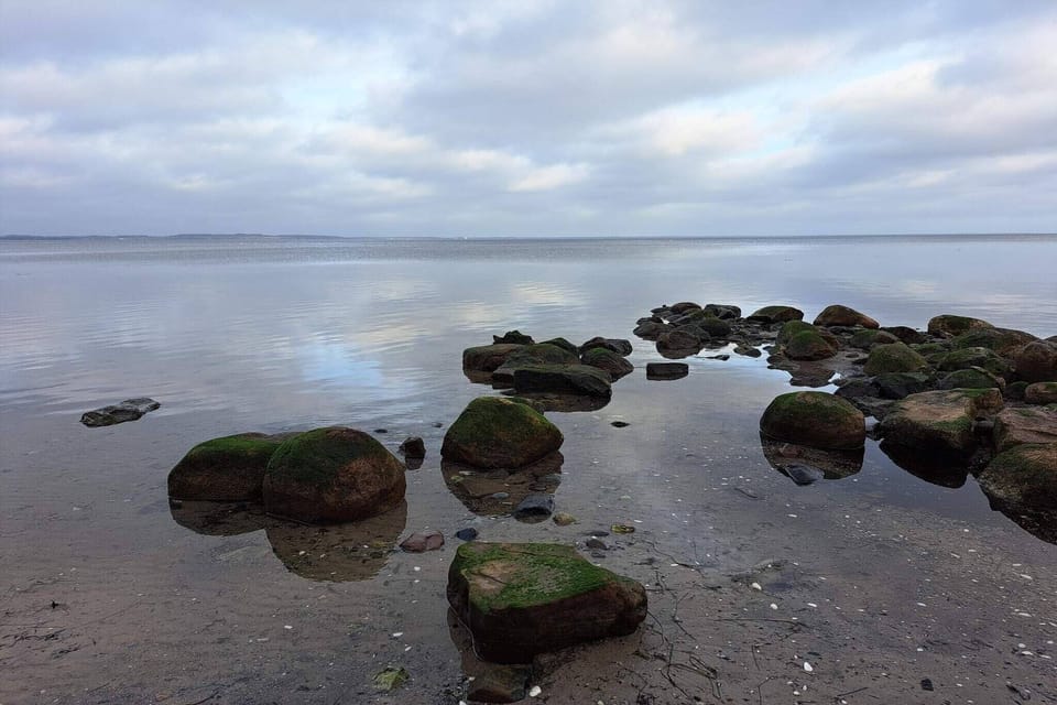 Water view