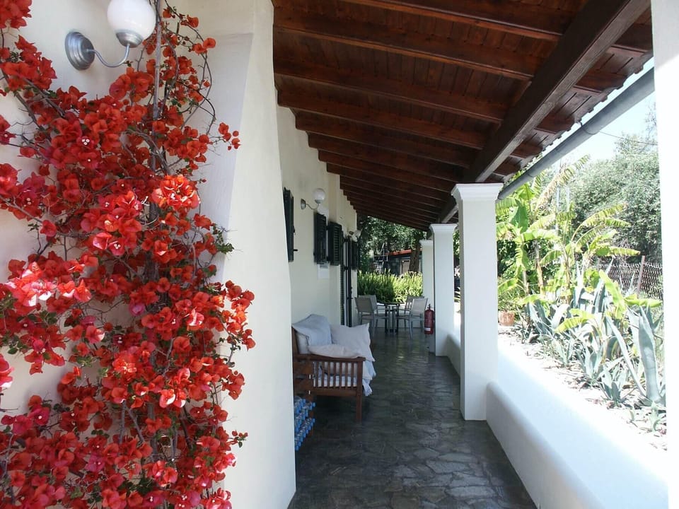 Lux apartment veranda