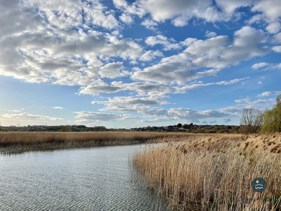 Radipole Lake