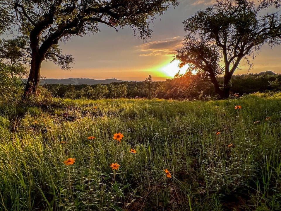Meadows of wildflowers bloom from Spring through Fall