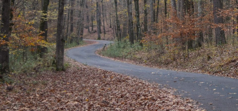Beaver's Bend State Park