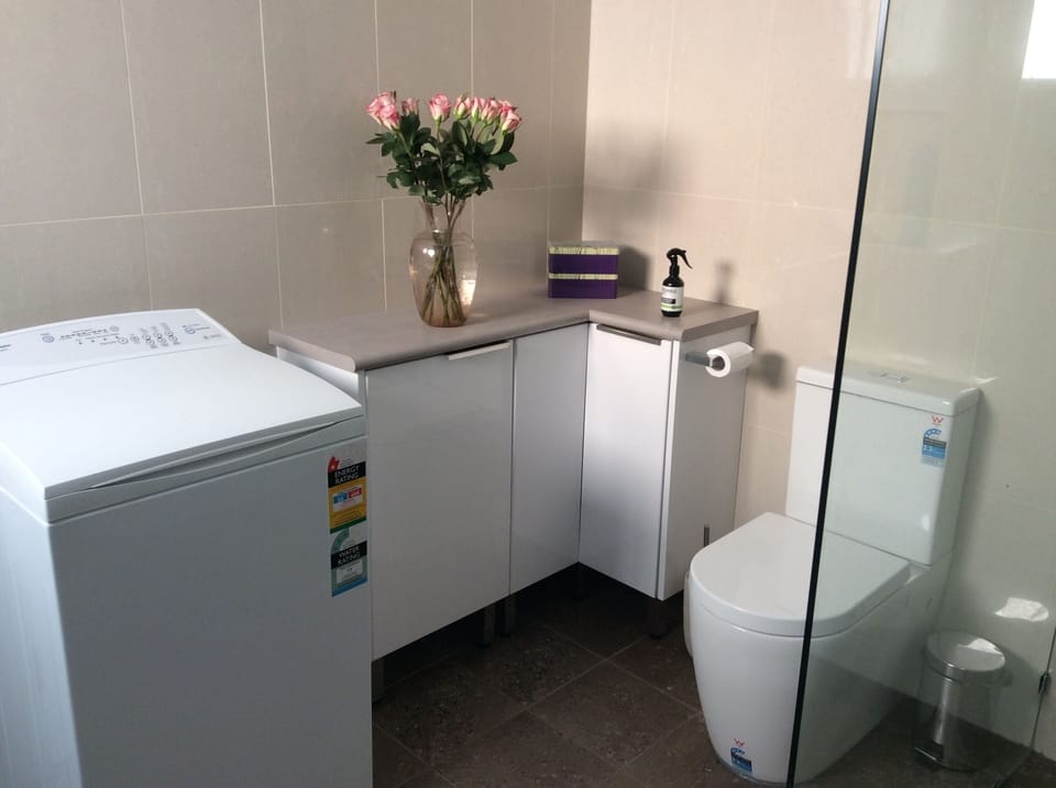 Washing Machine with storage cupboards
