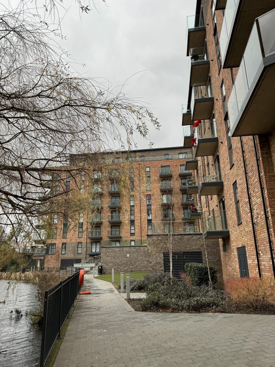 Image 20