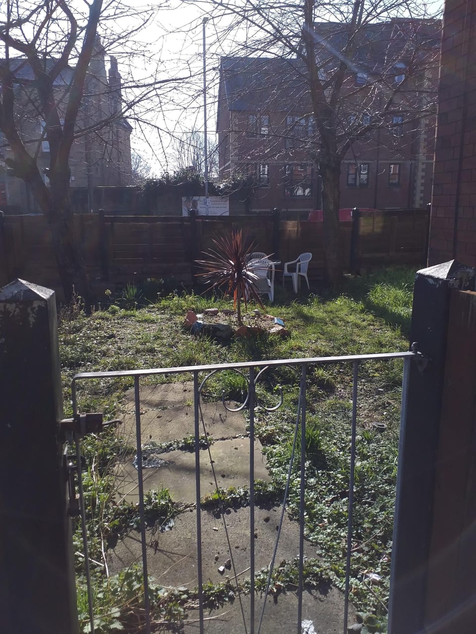 Image 10