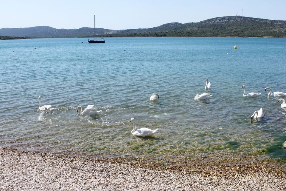 Nearby beaches