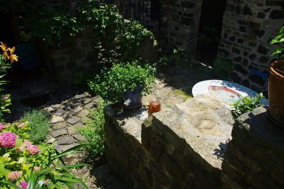 terrace