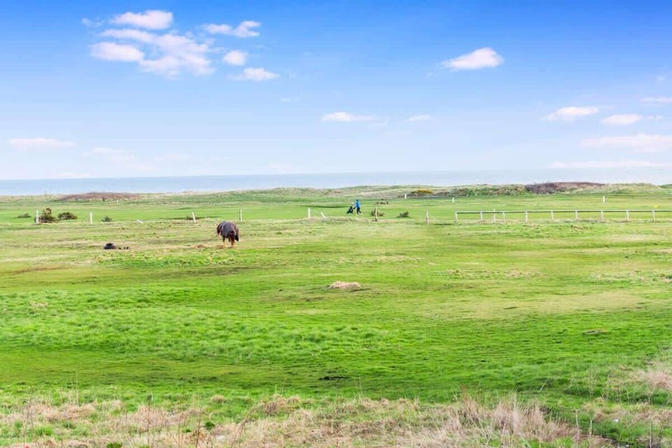 Beautiful view of greens and blues