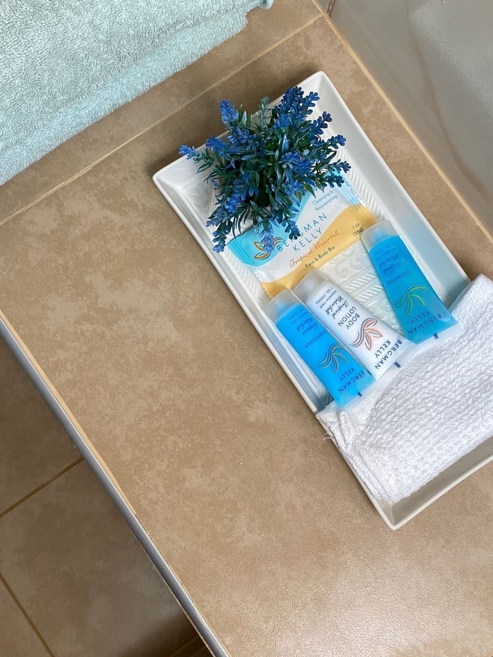 Bathroom amenities