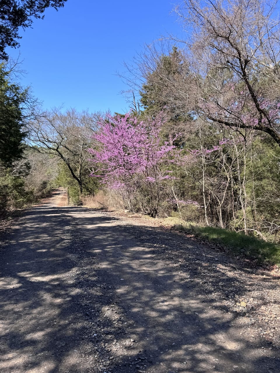 OHV access to trails from the property