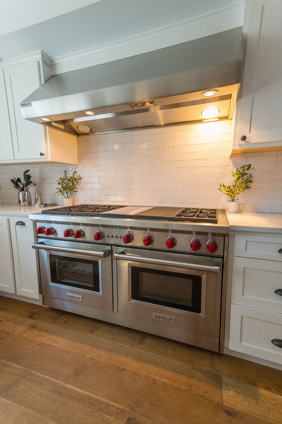 Commercial dual Wolf ovens