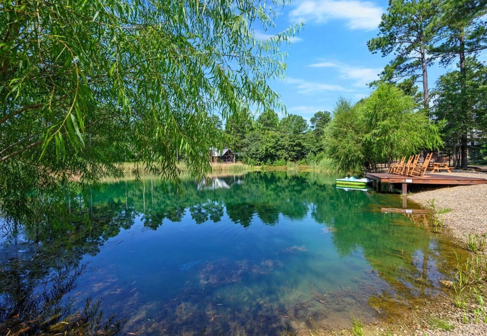 A peaceful lake setting, where the reflections of weeping willows dance on the water's surface, offering a sense of tranquility.