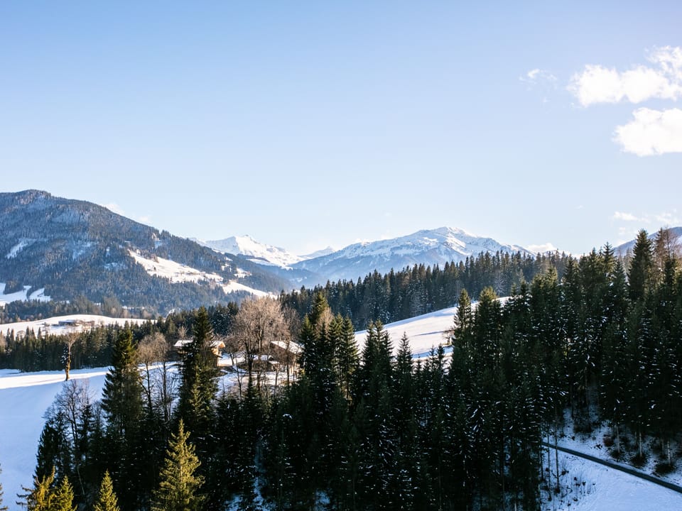Immediate Surroundings [winter] (<1 km)