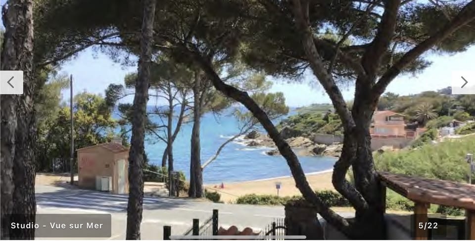 Beach/ocean view