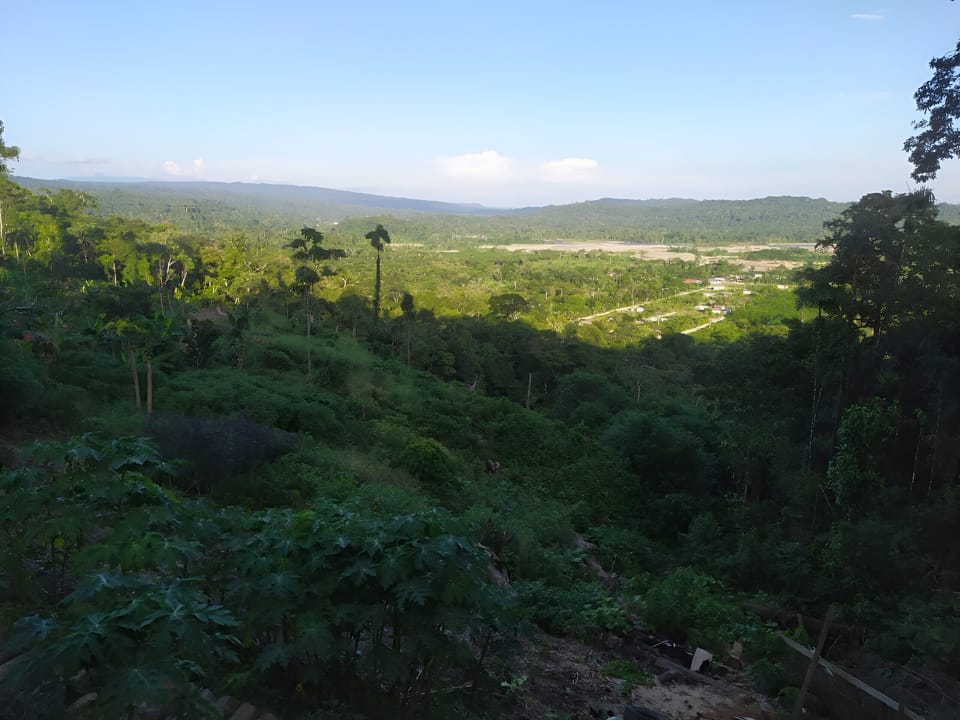View from property