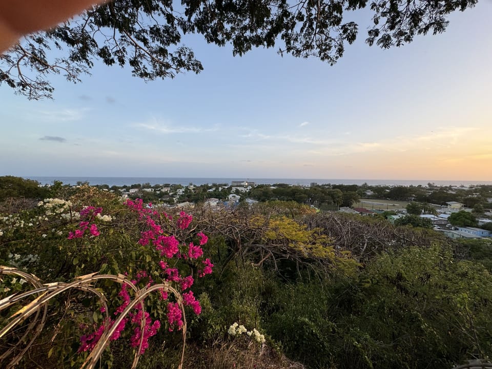View from property