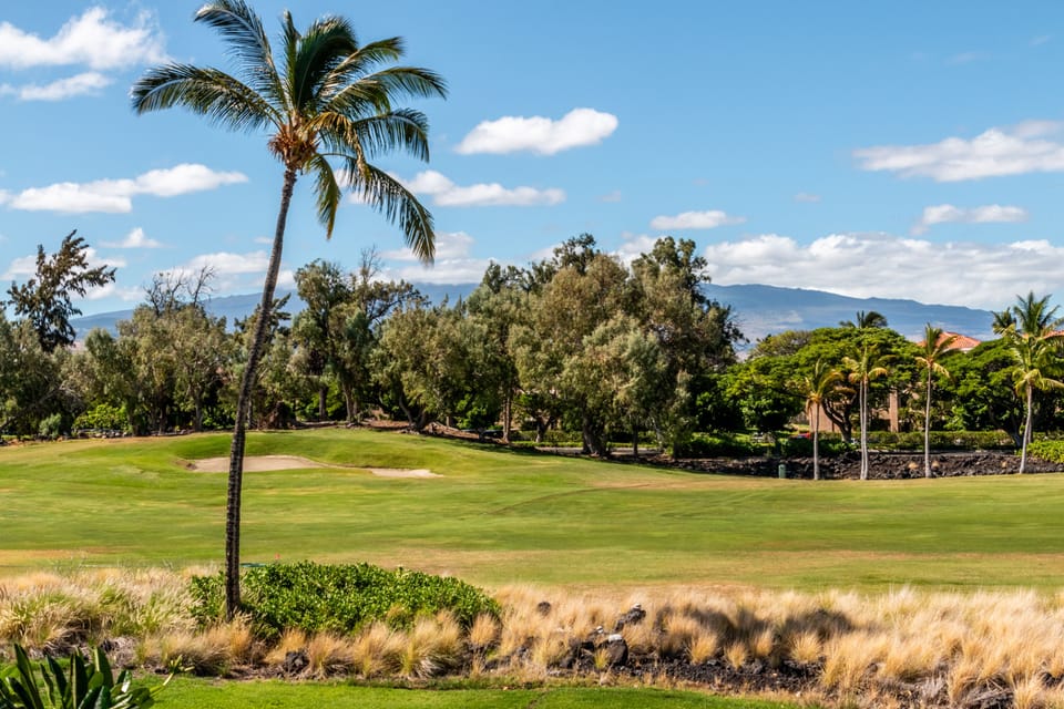 Golf course views