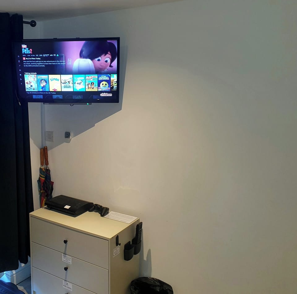 TV PlayStation/DVD 