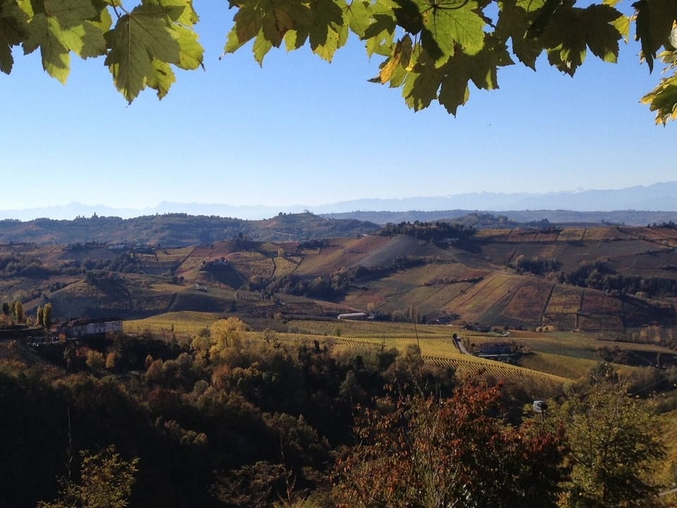 Viasavona4.6 - Nel Cuore Delle Langhe House in Piedmont