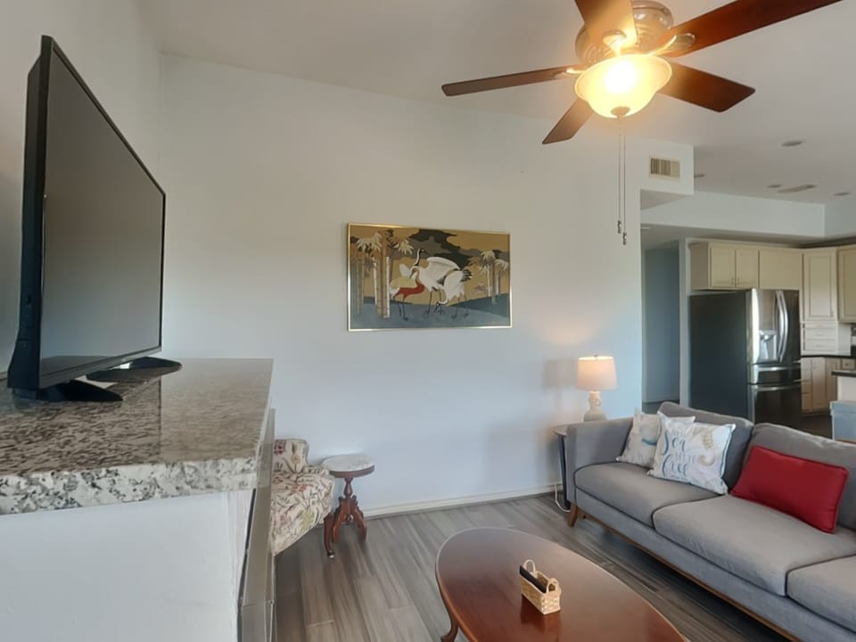 Living Room with TV