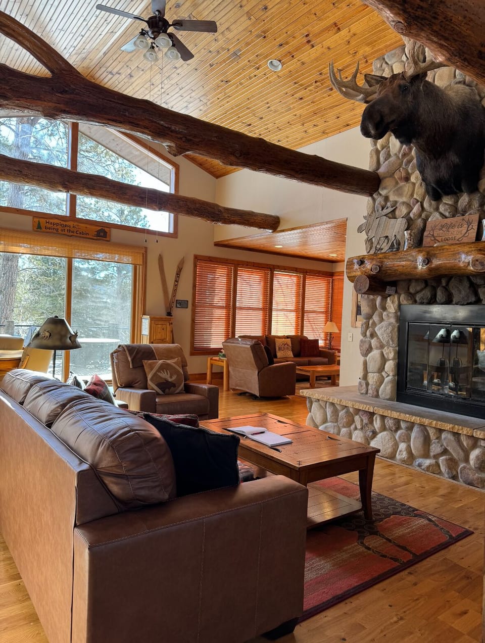 View recent photos (1)