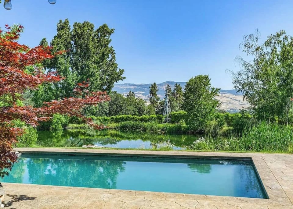 Pool, hot tub and pond