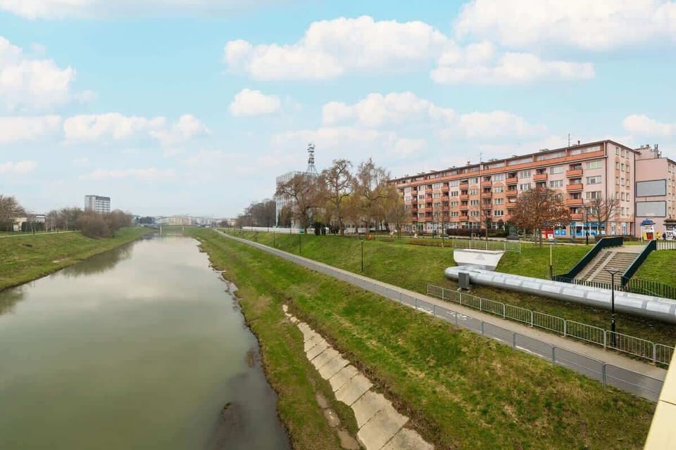 A scenic riverbank with greenery and residential buildings in the background, offering a peaceful environment.

