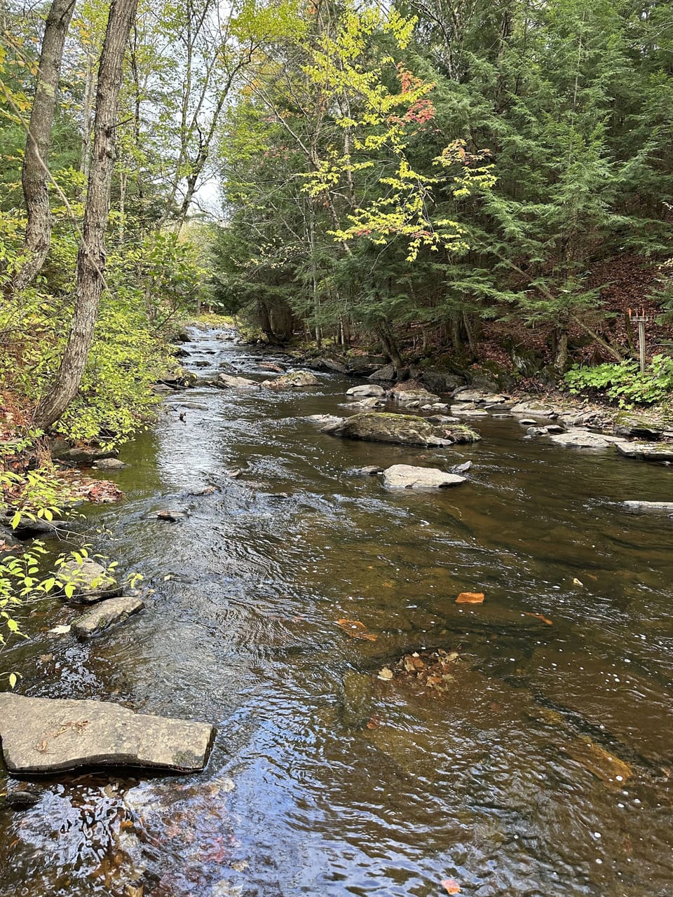 River is steps from cabin and yes on our property