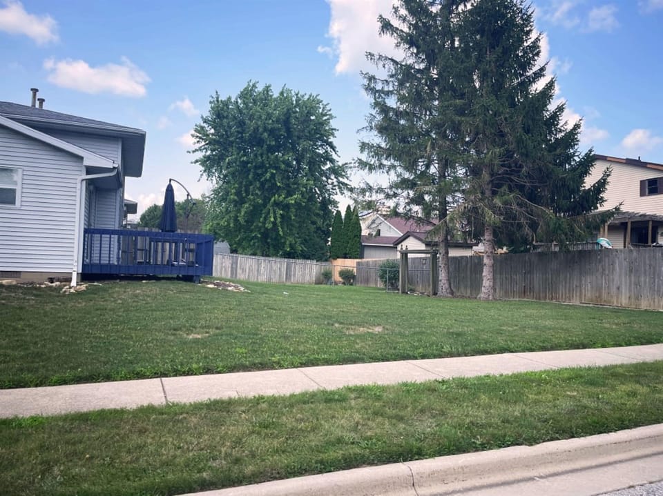 Back Yard