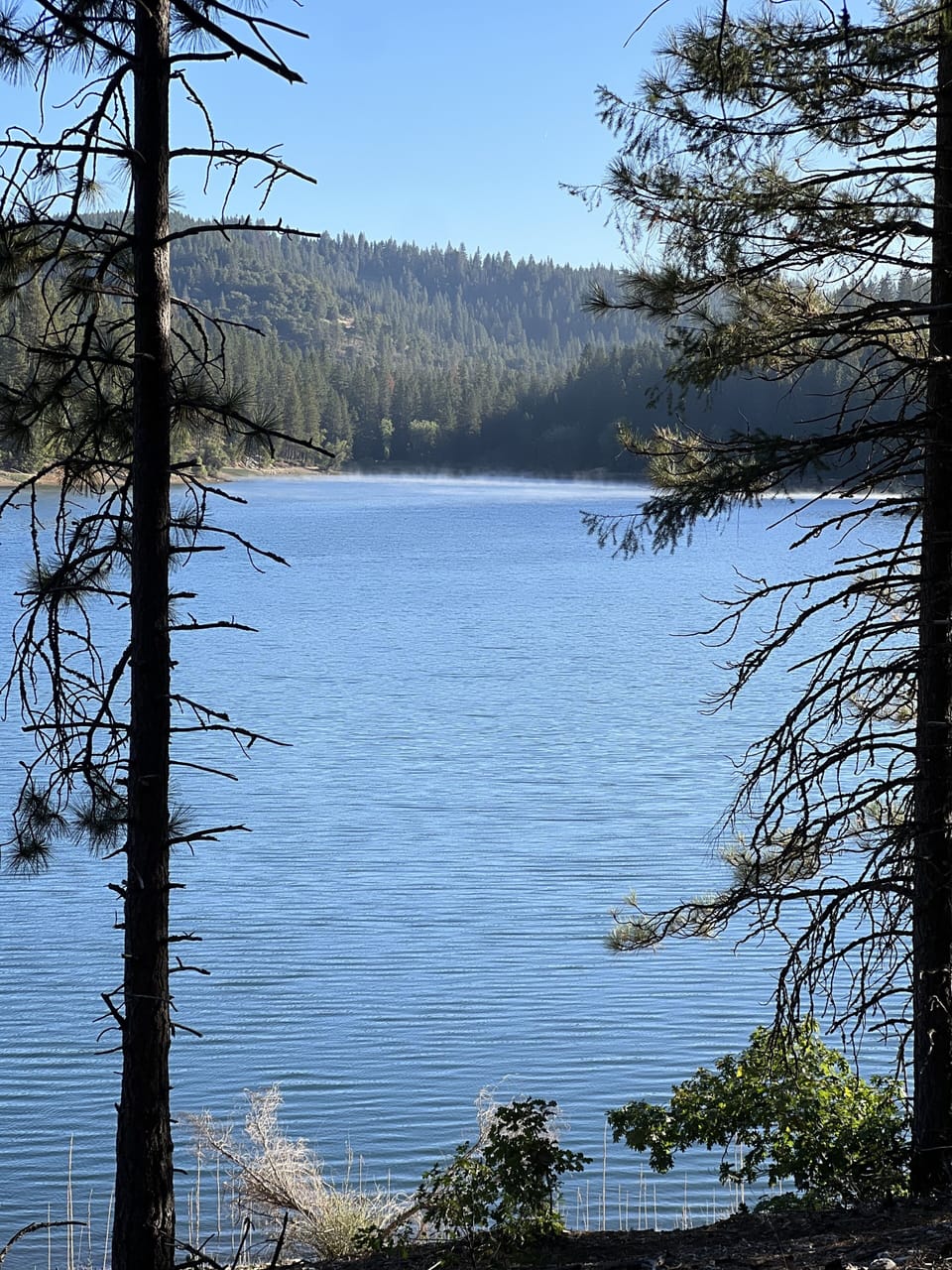 Jenkinson Lake. 5 minute drive from home.