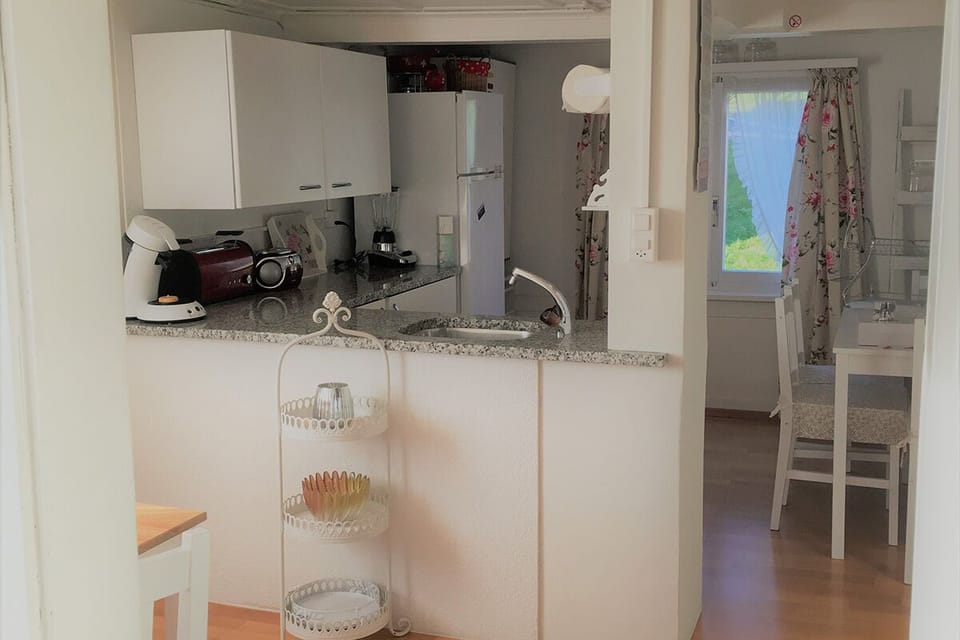 Fully equipped kitchen with dining table