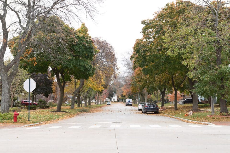 Neighborhood with tree-lined streets