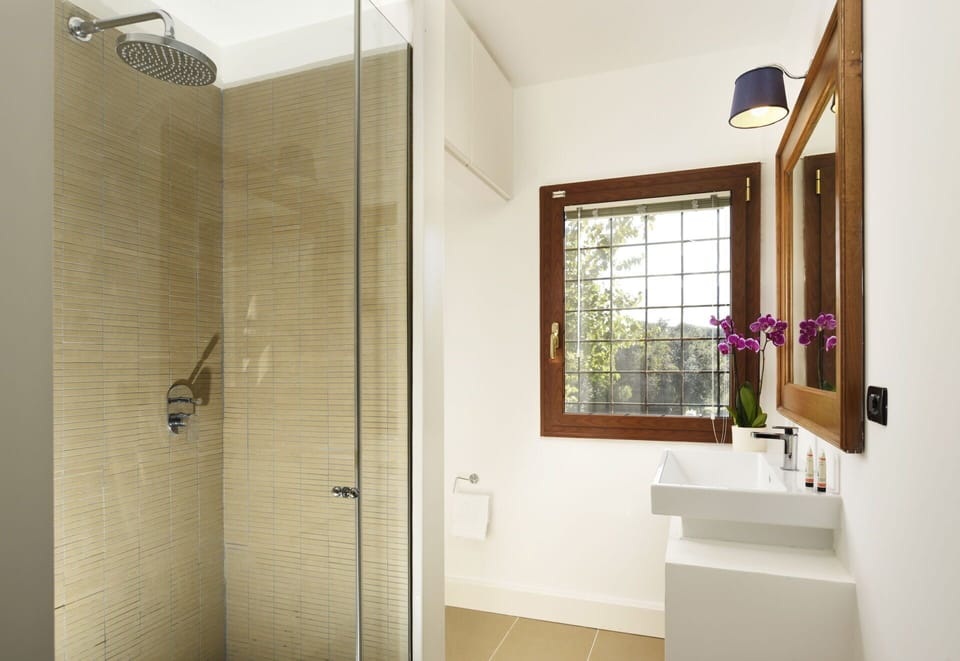 Property, Plumbing Fixture, Building, Bathroom, Plant, Window, Interior Design, Wood, Architecture