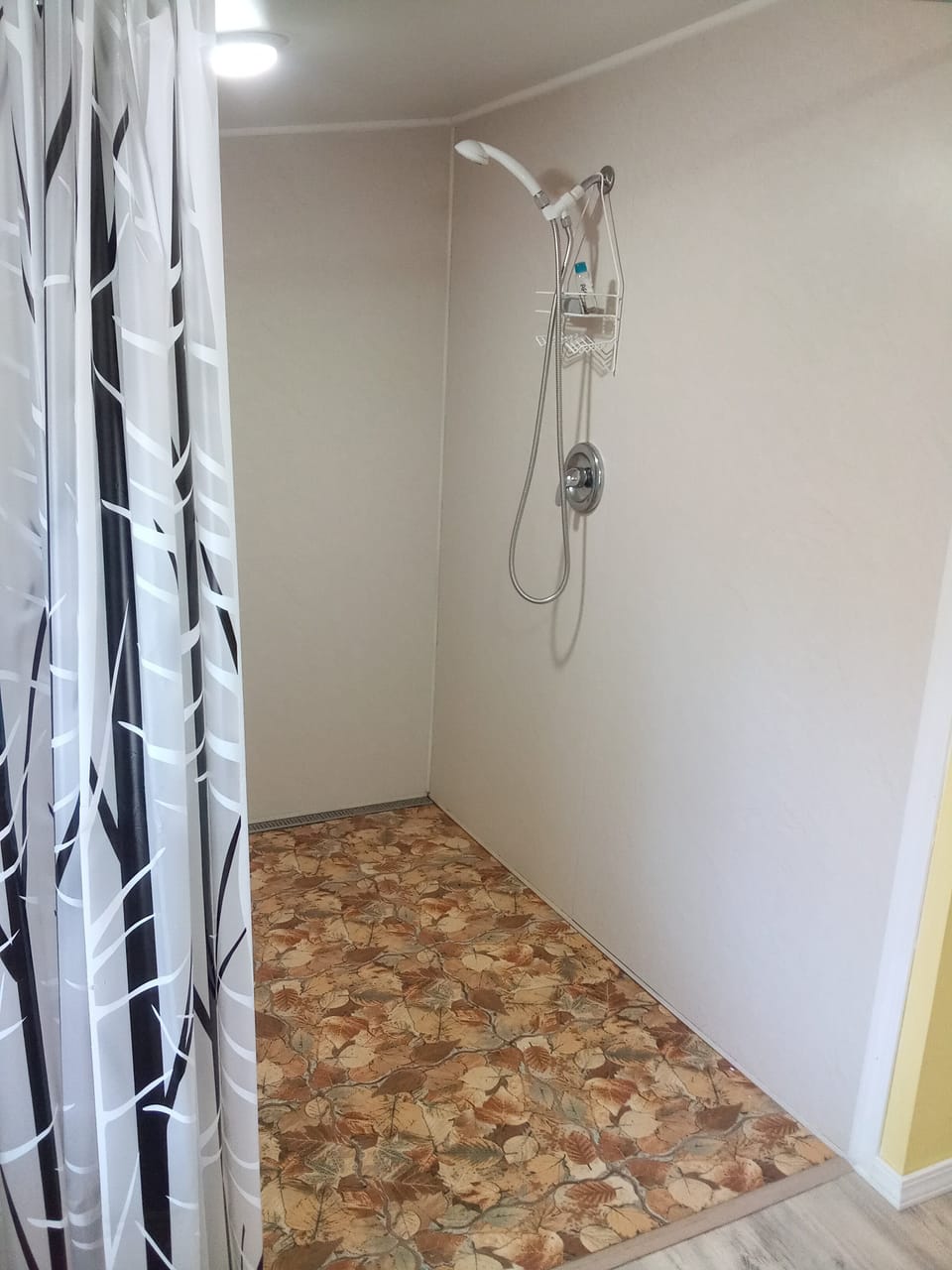 Walk in shower