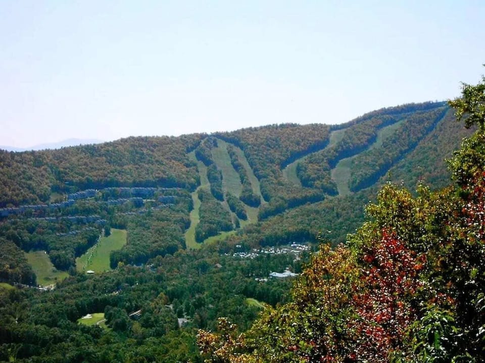 Stunning views of the slopes in Summer 
