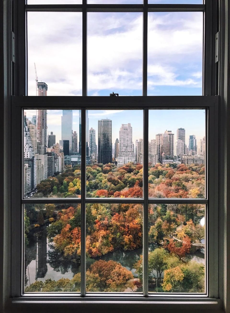 Soak in sweeping skyline views above the treetops.