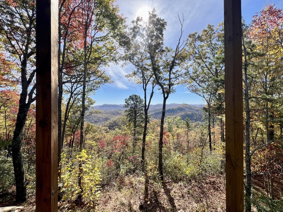 Fall Foliage Mountain View