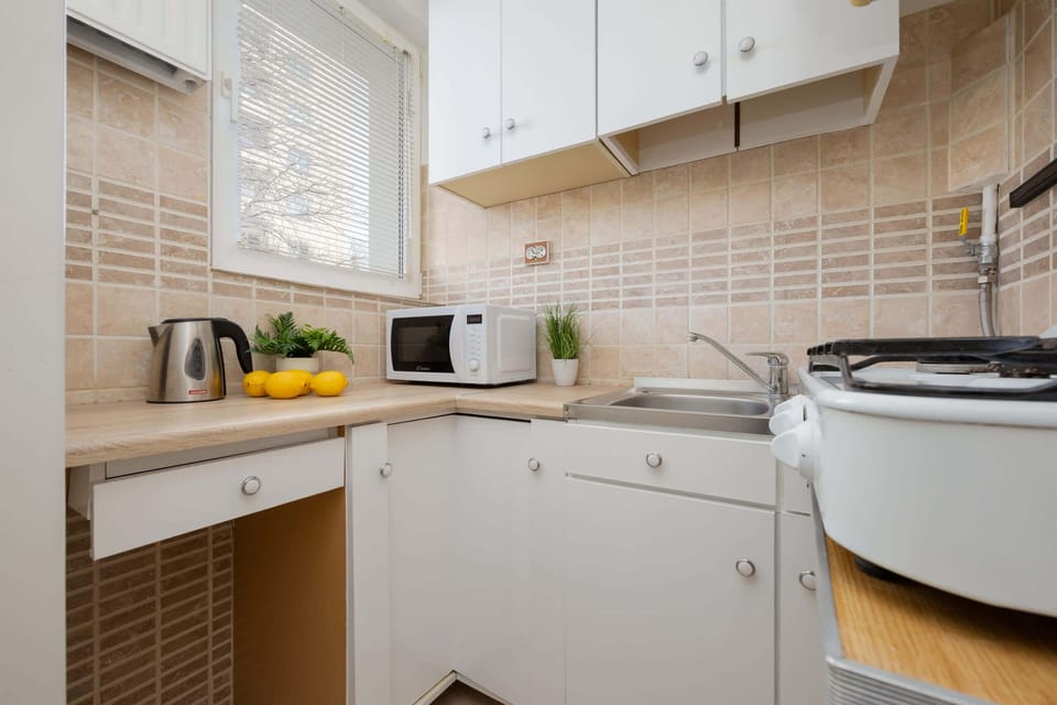 A practical kitchen, equipped with basic appliances.