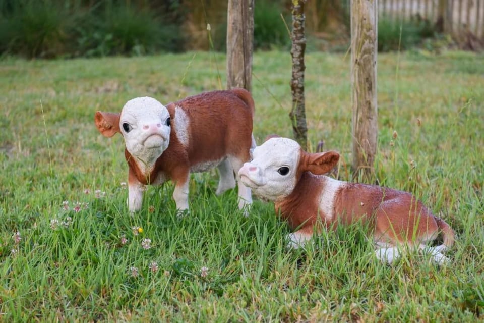 Region [summer] (>5 km)